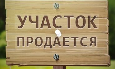доброй плаза: Земляника