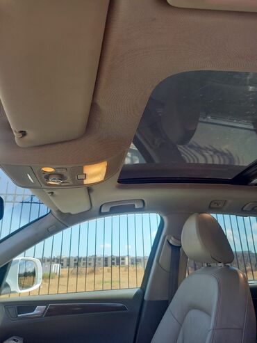 Audi: Audi Q5: 2 l | 2011 il Ofrouder/SUV — 11