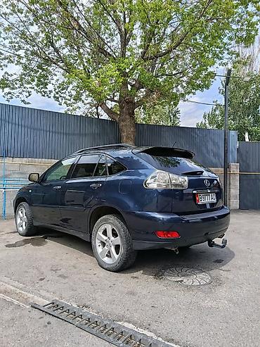 Lexus: Lexus RX 2: 2003 г., 3 л, Автомат, Бензин, Кроссовер — 11