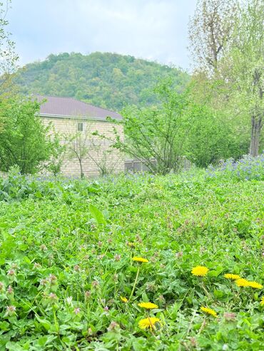 Torpaq sahələrinin satışı: 15 sot, Tikinti, Mülkiyyətçi, Kupça (Çıxarış) — 14
