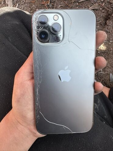 камера задняя: IPhone 13 Pro Max, Графит