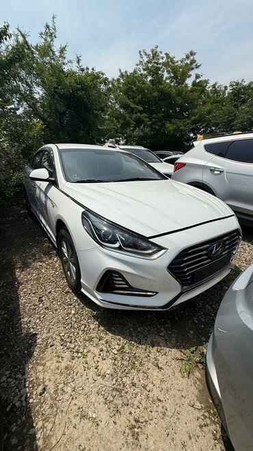 запчасти опель фронтера а: Hyundai Sonata: 2019 г., 2 л, Автомат, Газ, Седан