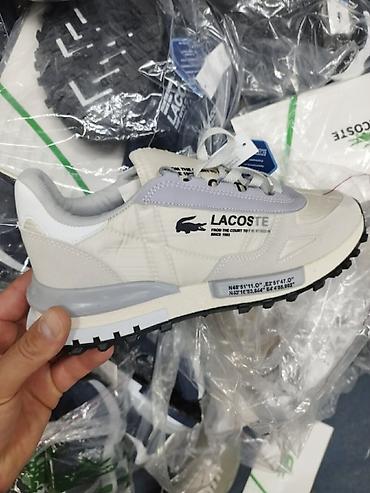 Patike: Lacoste elite patike 36 do 46 NOVO Novo Brojevi 36 do 46 36 do 43 — 13