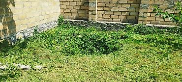ismayıllıda satılan torpaq: Tikinti, Mülkiyyətçi, Kupça (Çıxarış) — 3