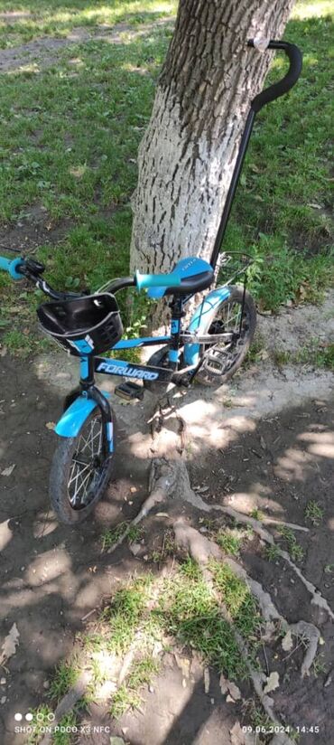 трёхколёсный велосипед детский: Детский велосипед forward meteor 14. В отличном состоянии! Качество