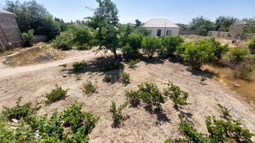 Torpaq sahələrinin satışı: 12 sot, Tikinti, Maklerlər narahat etməsin, Kupça (Çıxarış) — 10