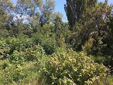 haunted mound: ПИСАТЬ НА СЧЕТ ПОЛНОЙ ИНФОРМАЦИИ НА НОМЕР 12 соток Дом с пристройкой — 9