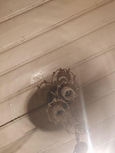 Tozsoranlar: Tozsoran Quru təmizləmə, Ünvandan götürmə — 3