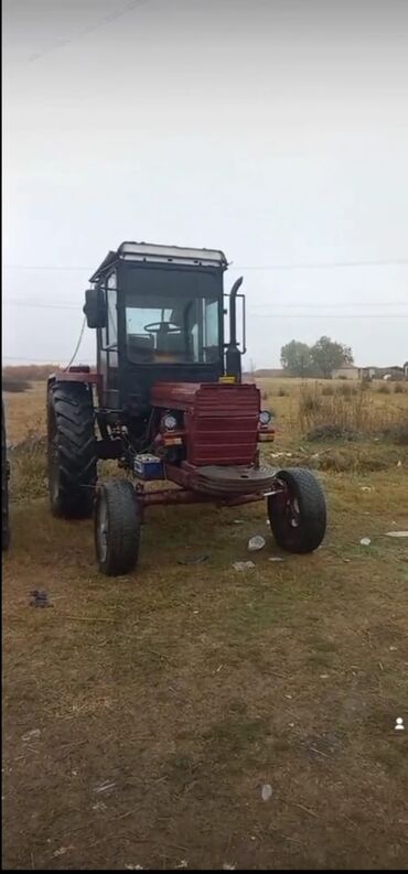 masinlar minik: Traktor Belarus (MTZ) T28, 1994 il, 22 at gücü, motor 2.4 l, İşlənmiş