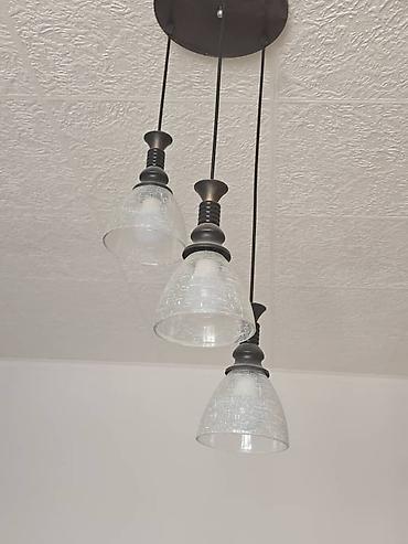 Накопительные водонагреватели: Переноска для животных + электрический водонагреватель (бойлер) 1) — 22