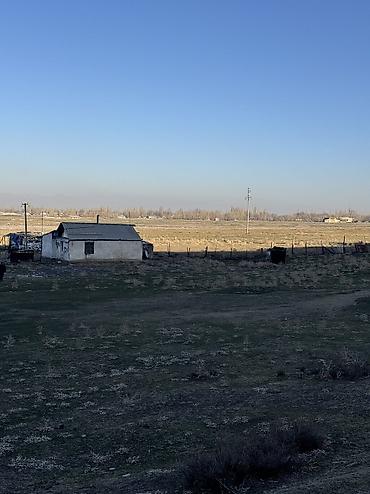 Продажа участков: 3 соток, Для строительства, Красная книга — 8