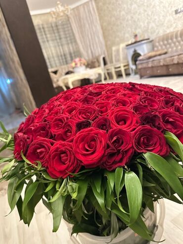 Bağ evlərinin satışı: Muxtadır, 50 kv. m, 1 otaqlı -da lalafo.az — 11 Bağ evlərinin satışı: Muxtadır, 50 kv. m, 1 otaqlı — 11