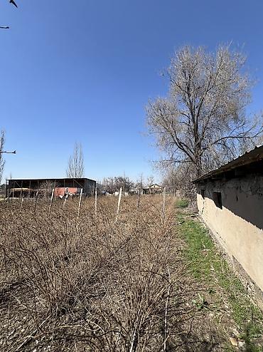 Продажа коттеджей и домов: Продаётся уютный дом в селе Кунтуу! 🏡 Участок 18 соток, дом 70 м² — 4 — 8