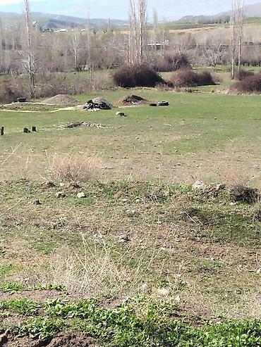 Torpaq sahələrinin satışı: Tikinti — 2