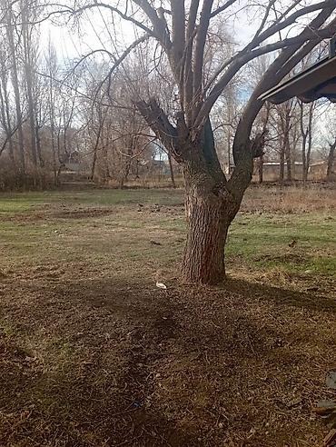 Продажа коттеджей и домов: Продается дом село Чалдовар улица Молодежная обращаться по номеру — 3