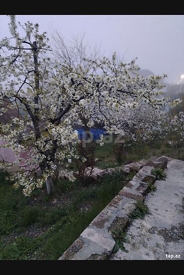 ev elanlari 2022: 10 sot, Tikinti, Mülkiyyətçi, Kupça (Çıxarış) — 1