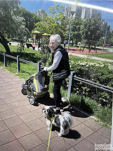 Usluge u domaćinstvu: Briga i nega manjih kuca u kućnim uslovima bez kaveza i ogradica — 9