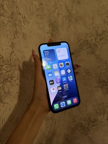 караоке микрафон: IPhone 12 Pro Max, Черный