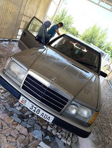 Mercedes-Benz: Mercedes-Benz 250: 1989 г., 2.5 л, Механика, Дизель, Седан