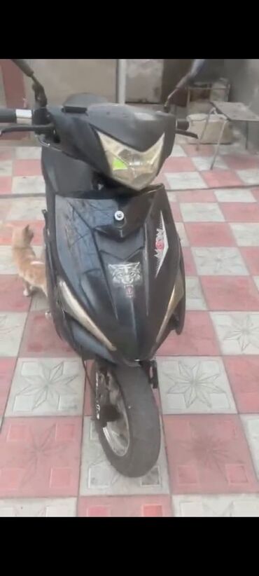 zongshen z max 150: Moon - AF50, 50 sm3