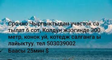 лев толстой дом: 6 соток, Бизнес үчүн, Кызыл китеп