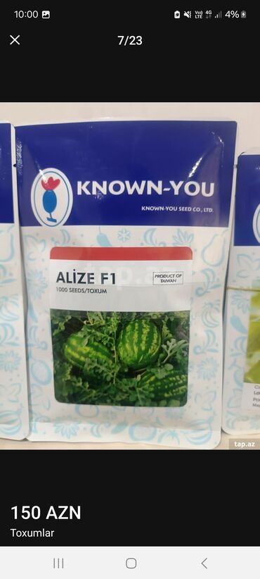 Toxumlar: Məhsul: Toxumlar – ALIZE F1 qarpız toxumu - Brend: KNOWN-YOU SEED — 3