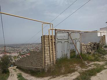 Torpaq: 6 sot, Mülkiyyətçi, Bələdiyyə — 3