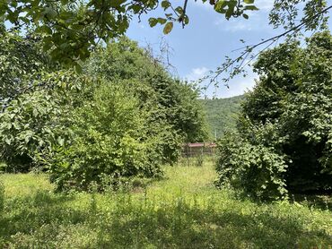 Torpaq sahələrinin satışı: 12 sot, Tikinti, Mülkiyyətçi, Kupça (Çıxarış) — 12