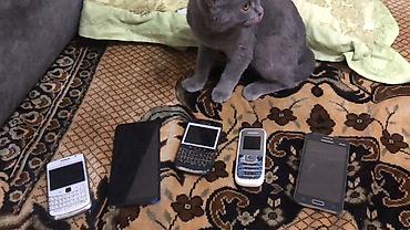 kohnə telefon: Kolleksiya şəklində köhnə model mobil telefonlar dəsti. Tərkib: - 2 — 1