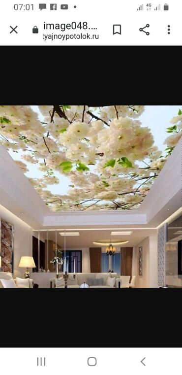 Натяжной потолок: Натяжной потолок 3D потолки, Глянцевое, Матовое — 22