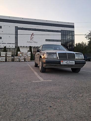 дерево на мерс 124: Mercedes-Benz W124: 1990 г., 2.3 л, Механика, Бензин, Седан — 2