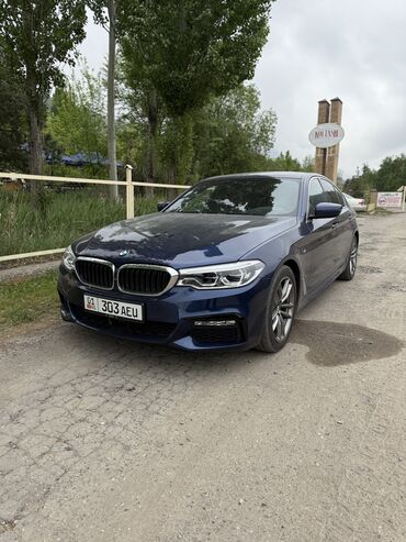 bmw twinpower turbo: BMW 5 series: 2019 г., 2 л, Автомат, Дизель, Седан