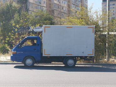 скания реф: Легкий грузовик, Hyundai, Стандарт, 2 т