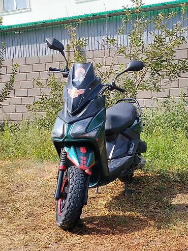 super soco: Самурай сатылат тугандар састаяния жакшы влодения жок такументтери бар — 3