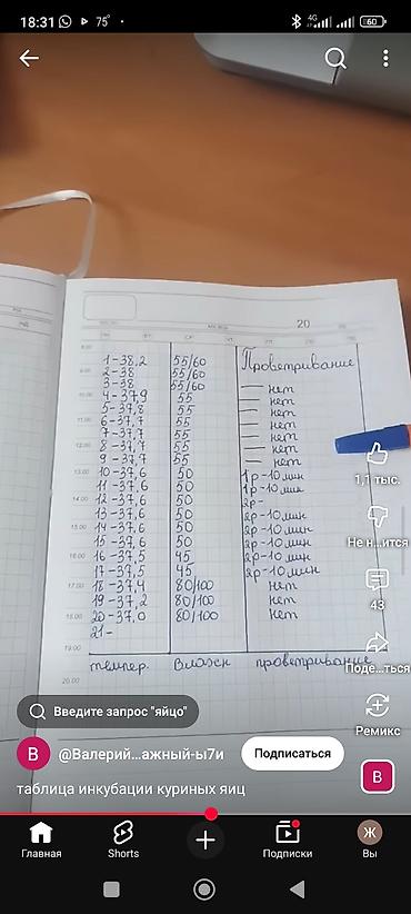 Видеонаблюдение: IP-камера видеонаблюдения Yoosee (поддержка приложения Yoosee) - Тип — 18