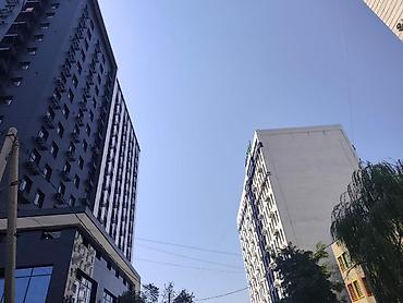 Новостройки от застройщика: Элитка, Студия, 195 м² — 3