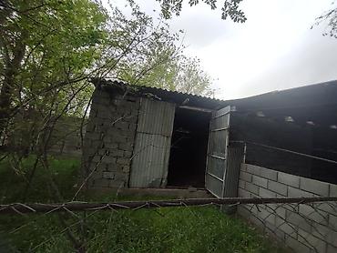 пасека пасика: Помещение/площадка под сельхоз/склад в зелёной зоне по ул.А.Атинской — 8