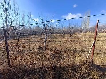 Продажа коттеджей и домов: Продаётся участок с домом и садом. Чон-сары-ой 14соток с дом — 3