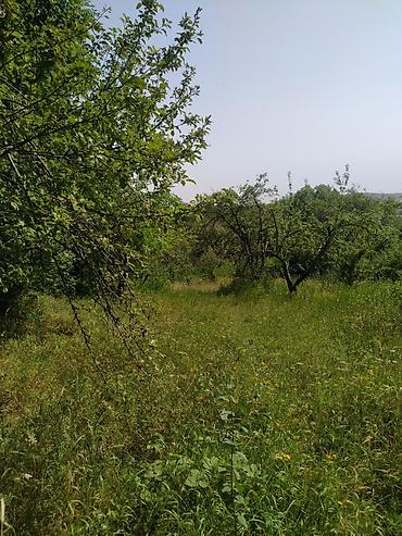 samaxi: 18 sot, Mülkiyyətçi, Kupça (Çıxarış) — 8