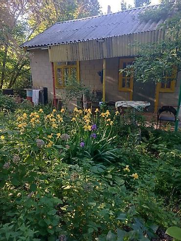 контейнерный модул: Продается дача. Село Беш-Кюнгей. Дачный поселок "Трудовой Отдых - 2" — 7