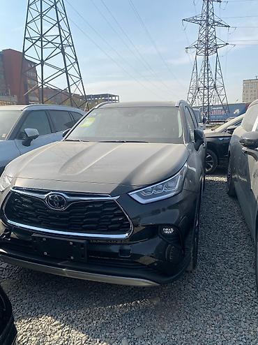 Юридические услуги: Юридические услуги | Таможенное право, Налоговое право | Аутсорсинг, Консультация — 2