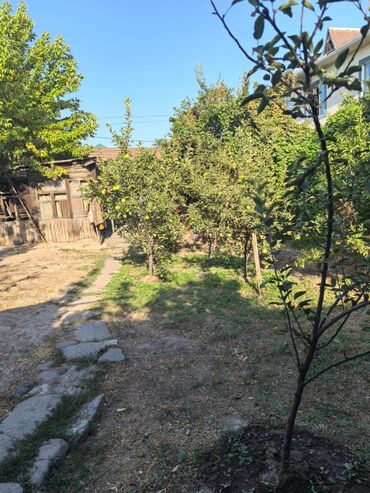 арендовать дом: 4 соток, Для бизнеса