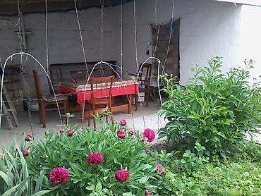 masazırda kiraye evlər: 28 kv. m, 2 otaqlı — 2