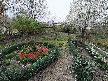 Продажа коттеджей и домов: Продается частный дом в районе аламединского рынка с участком 11 — 18