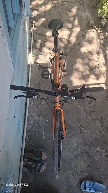 velosiped saft: Şəhər/trek Sport velosiped – GIANT marka, portağal rəng - Yüngül — 2
