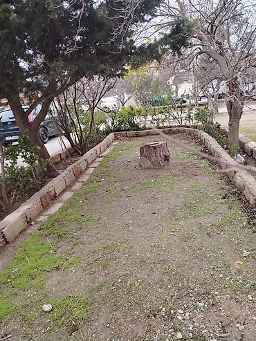 Kommersiya daşınmaz əmlakı: 🚨 TƏCİLİ SATILIR – Həyətli, ayrı qapılı obyekt (Küpçülü) 📍 Yerləşmə — 8