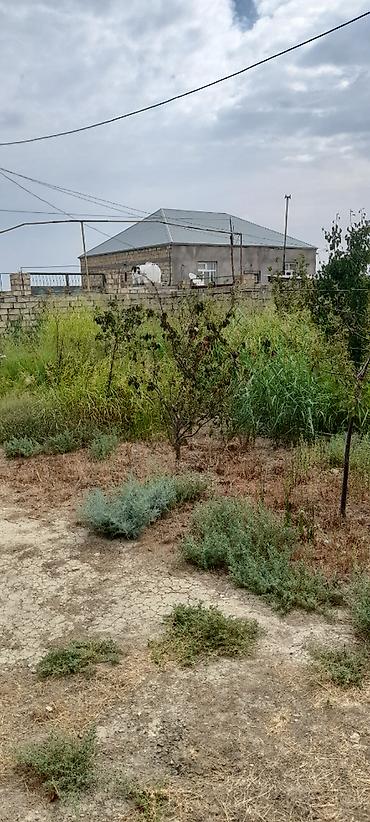 kiraye evlerin kreditle satisi: Müşfiqabad qəsəbəsi, Müşfiq qəsəbəsi, Abşeron, Aşağı Güzdək, Beton — 6
