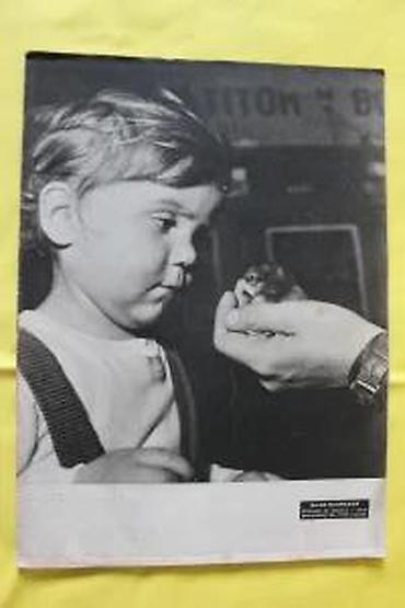 Časopisi: DUGA 312, 305-309, 298, 297, 291, 289, 288, 286,285 | Duga — 25