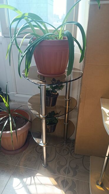 Этажерки для цветов: Стеклянная подставка для растений с тремя круглыми полками из — 21