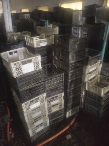 Другие хозтовары: Продаются пластмассовые ящики более 1500 штук